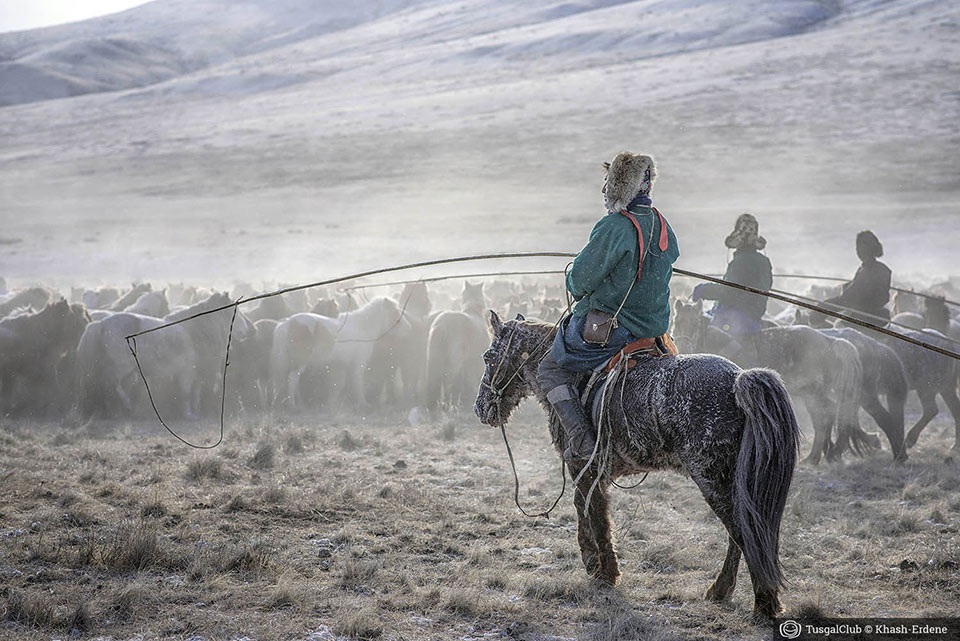 Le fêstival des milles chevaux dans la steppe mongole