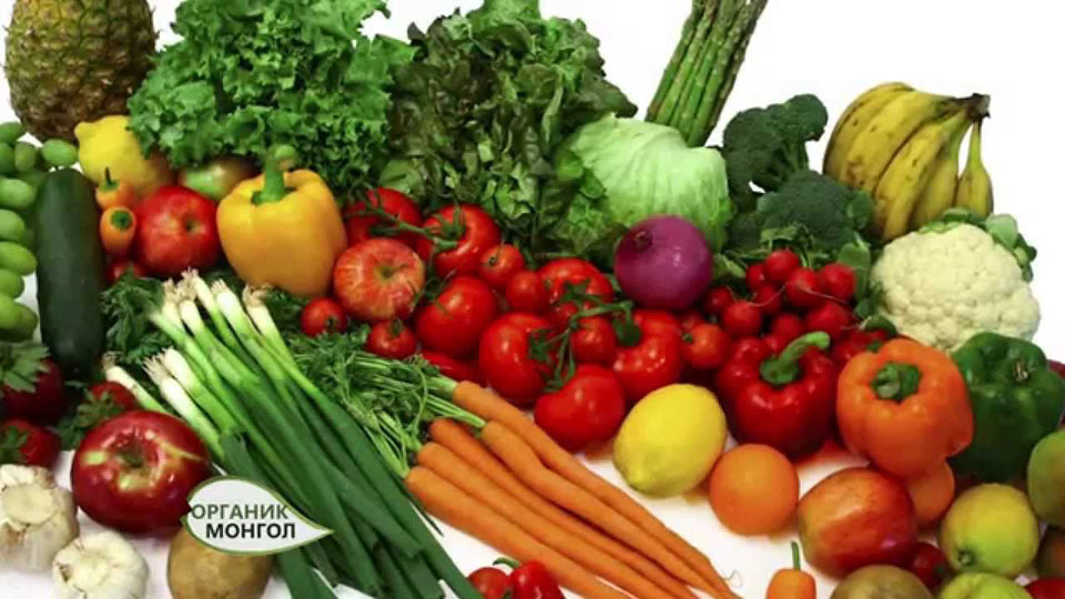 Un voyage en Mongolie sans viande ni poisson