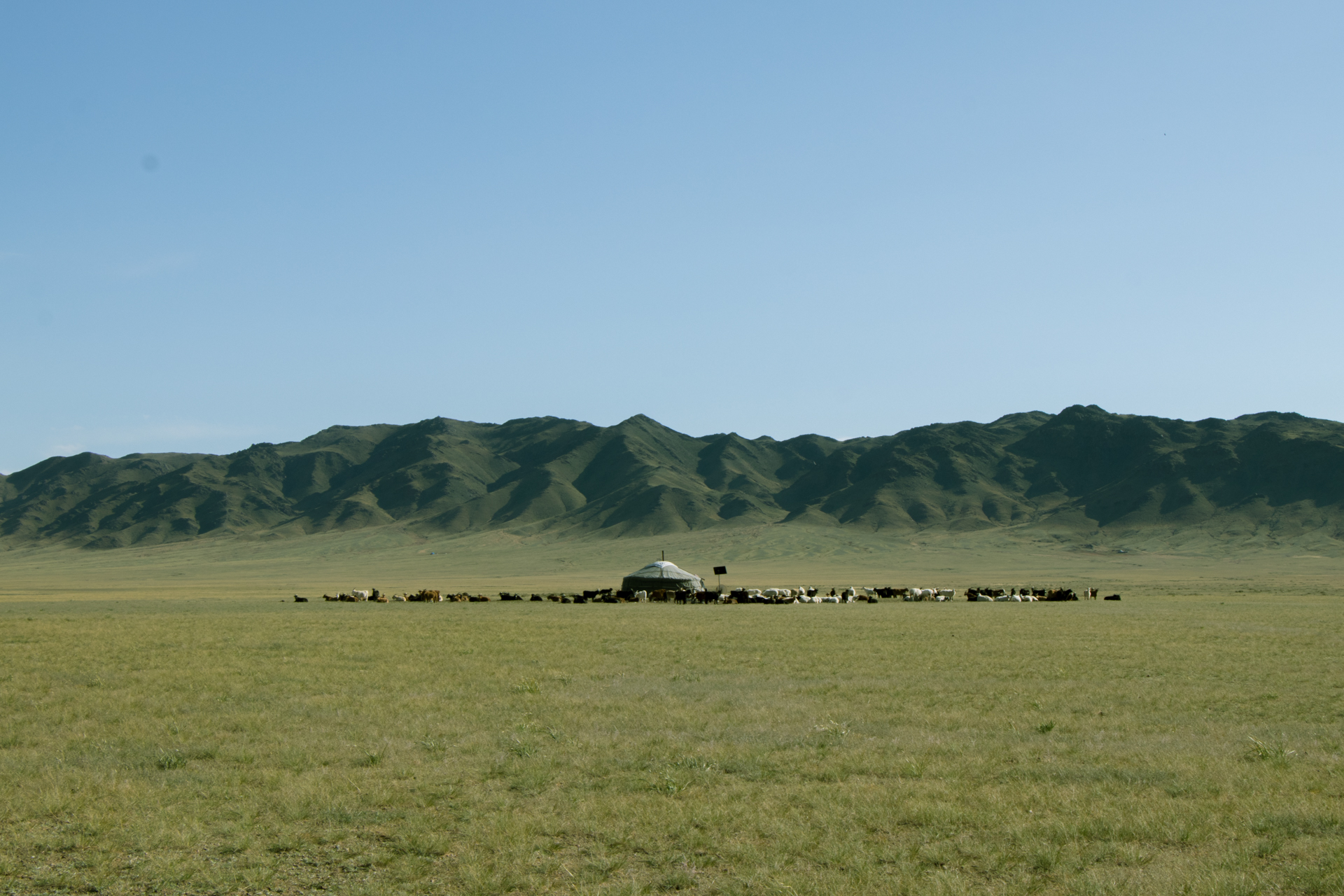 Quelques règles de savoir vivre chez les familles nomades en mongolie