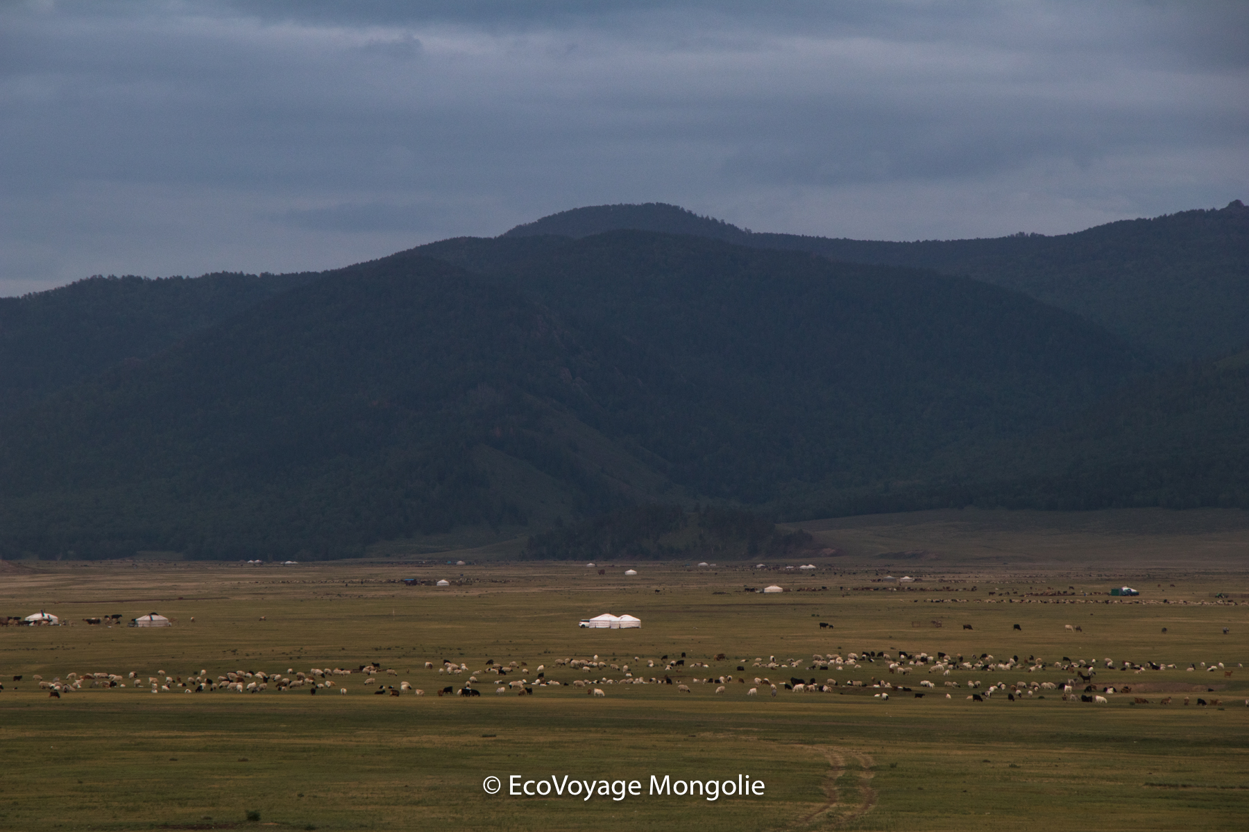 Quelques règles de savoir vivre chez les familles nomades en mongolie