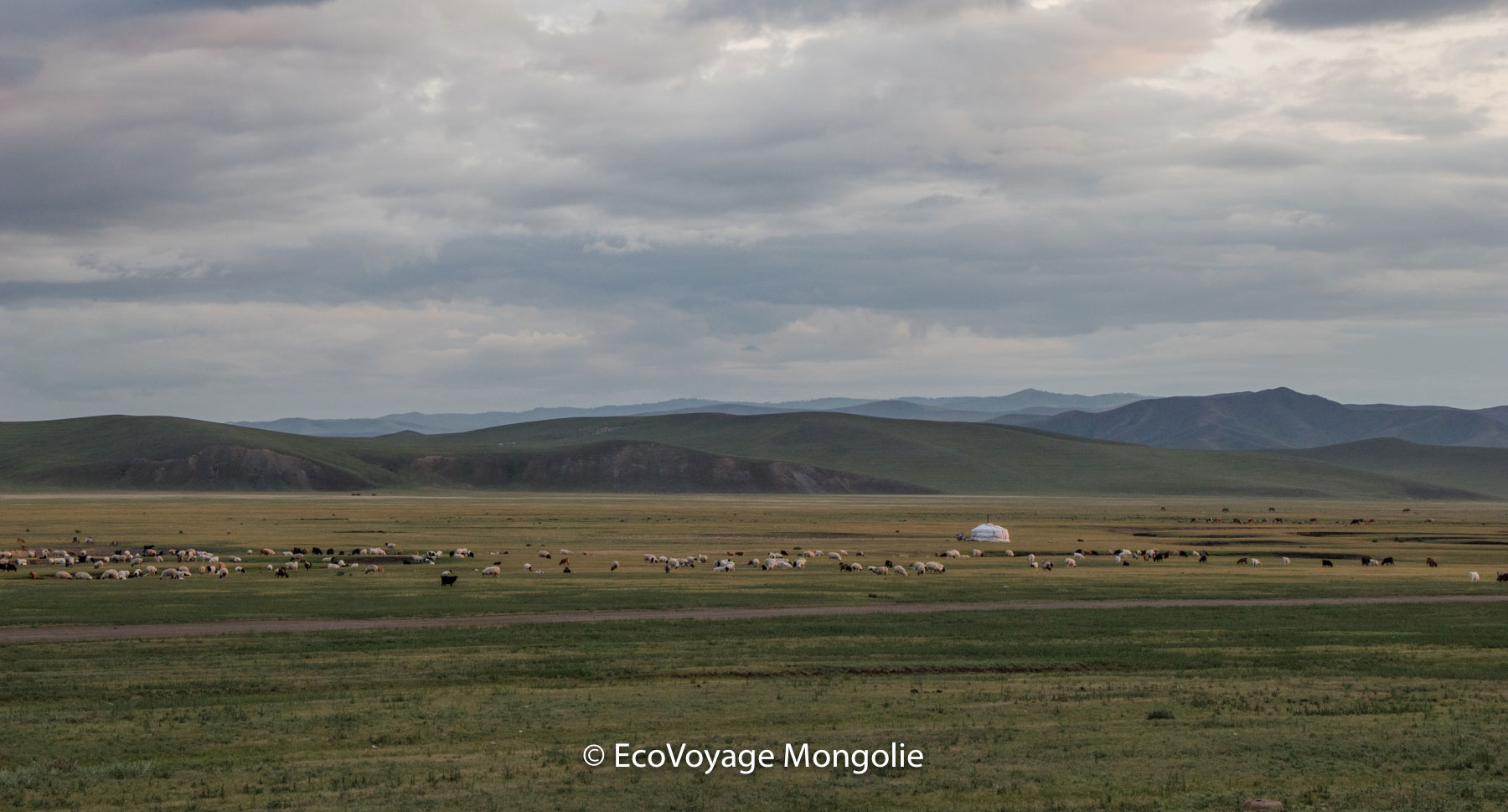 Nomadisme mongolie
