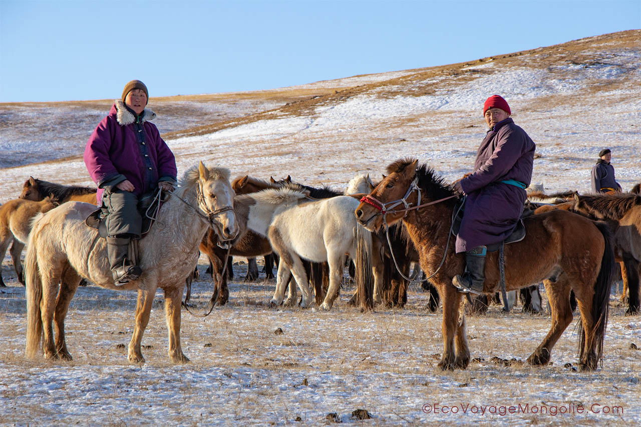 Reconnectez-vous avec la nature