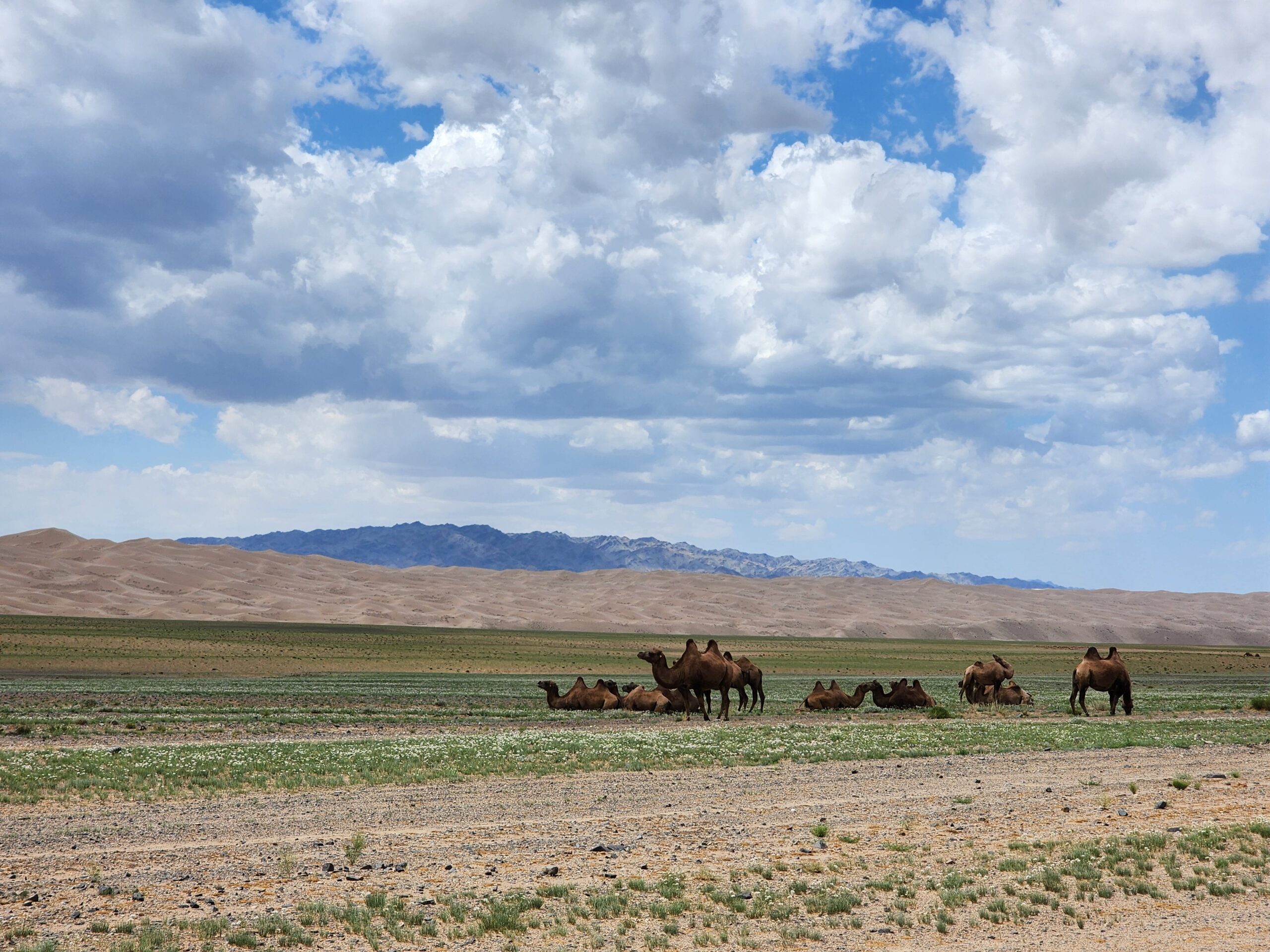 Des aventures inattendues qui redéfinissent l’exploration