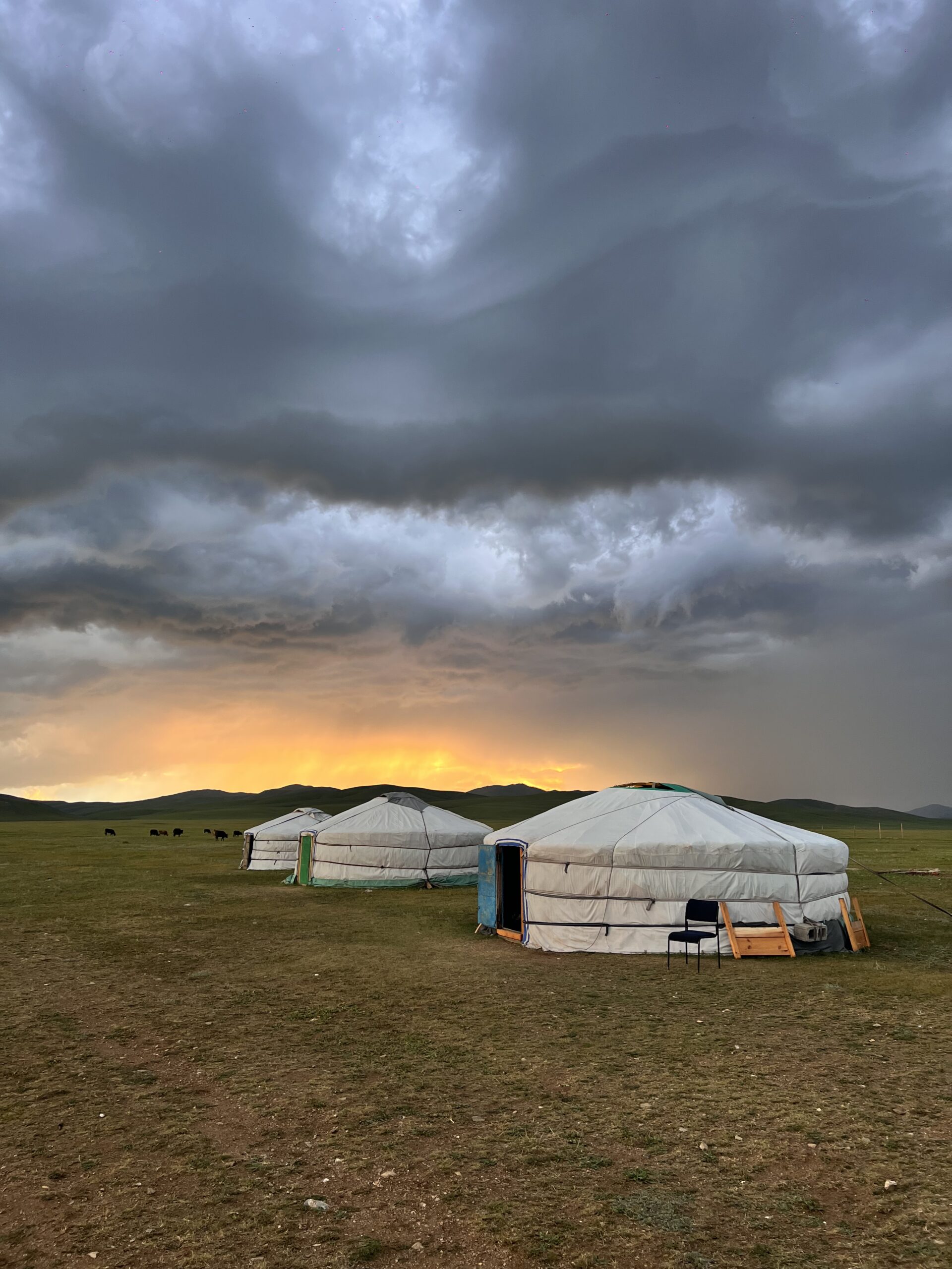 Voyage de luxe en Mongolie centrale